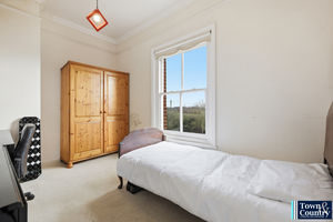 THE HAWK- click for photo gallery